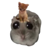 Hamster Sad 1 💖C☆ 26