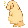 Perritos bonitos💞6🇵🇪Clásica 27