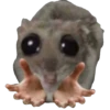 Hamster Sad 2 💖C☆ 27