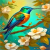 COLIBRI Y MAS 30