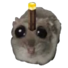 Hamster Sad 1 💖C☆ 28