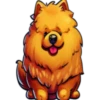 Perritos bonitos💞6🇵🇪Clásica 29