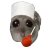 Hamster Sad 2 💖C☆ 28