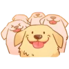 Perritos bonitos💞6🇵🇪Clásica 30