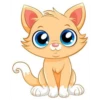 Cat 5