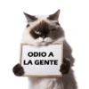 Michis Reacciones 2🐱✨ 6