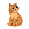 Cat 9