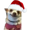 Memes de Natal 8
