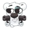 Perro loco🐕‍🦺💞1🇵🇪Clásica 12