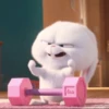 Moods Random 5