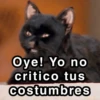Oye! Yo no critico tus costumbres guayita_01