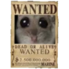 Hamster Sad 3 💖C☆ 7