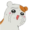 Memes Hamsters 5