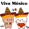 Viva Mexico🇲🇽gatitos🇲🇽 8
