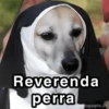 Reverend a perra @paraguayita_01