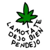 Mamalonson 5