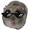 Hamster Sad 3 💖C☆ 11