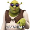 Shrek Faces Stickers 2 10