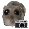 Hamster Sad 3 💖C☆ 12