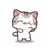 Cat 12