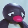 pingüino penguin 😎 5
