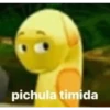 pichula tímida 😔 6