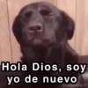 Hola Dios, soy yo de nuevo @paraguayita_01