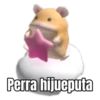Perra hijueputa