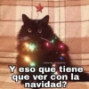 Gatitos Navidad 5