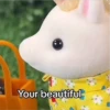 Sylvanian Drama 3 11