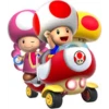 Toad from Mario 8