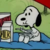snoopy 12