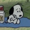 snoopy 13