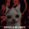 pichula tímida 😔 8