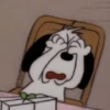 snoopy 14