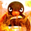 pingüino penguin 😎 9