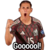 Selección Mexicana🇲🇽CopaAmerica 11
