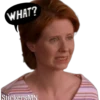 SATC💞- Miranda Hobbes 👸 6