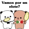 Viva Mexico🇲🇽gatitos🇲🇽 13