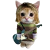 Guitar 9