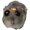 Hamster Sad 3 💖C☆ 13