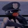 pingüino penguin 😎 11