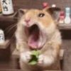Hamsters 18