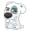 Perro loco🐕‍🦺💞1🇵🇪Clásica 22
