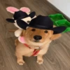 Mami, soy tu vaquero 🤠 5