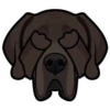 Charles 6