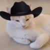 Mami, soy tu vaquero 🤠 6
