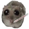 Hamster Sad 3 💖C☆ 15