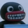 pingüino penguin 😎 13