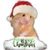 Memes de Natal 17